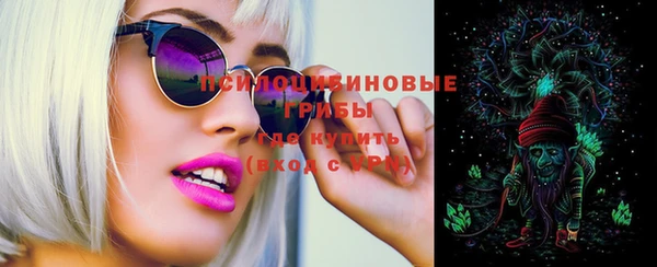 твердый Володарск