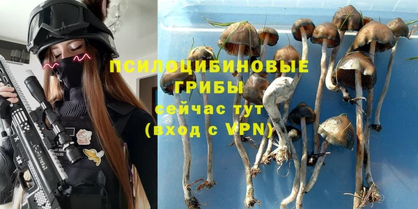 твердый Володарск
