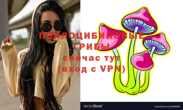 твердый Володарск