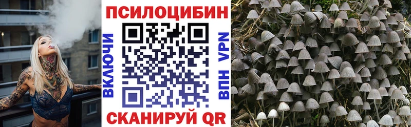 сколько стоит  Улан-Удэ  Галлюциногенные грибы мицелий 